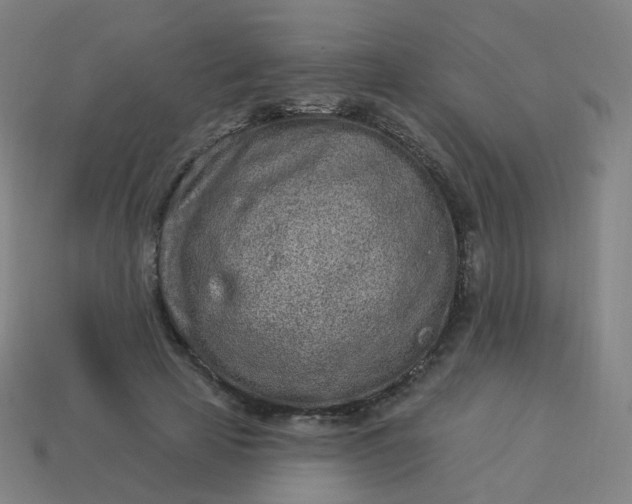 X0000114070641200910191523