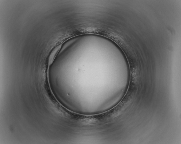 X0000114070642200910191523