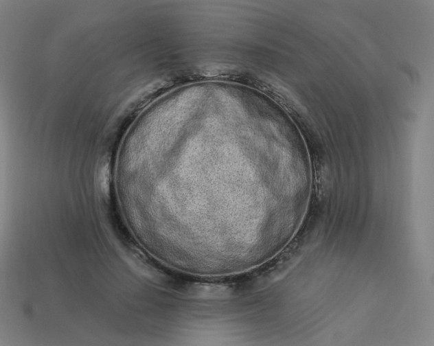 X0000114070644200910191523