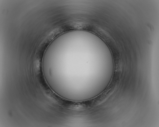 X0000114070646200910191523