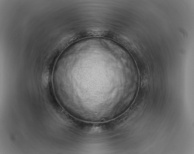 X0000114070647200910191523