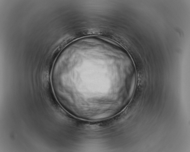 X0000114070648200910191523