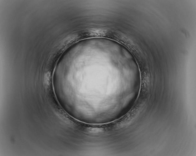 X0000114070649200910191523