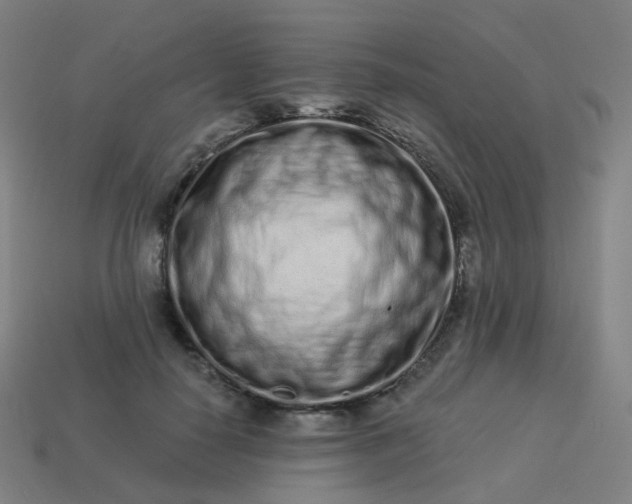 X0000114070650200910191523