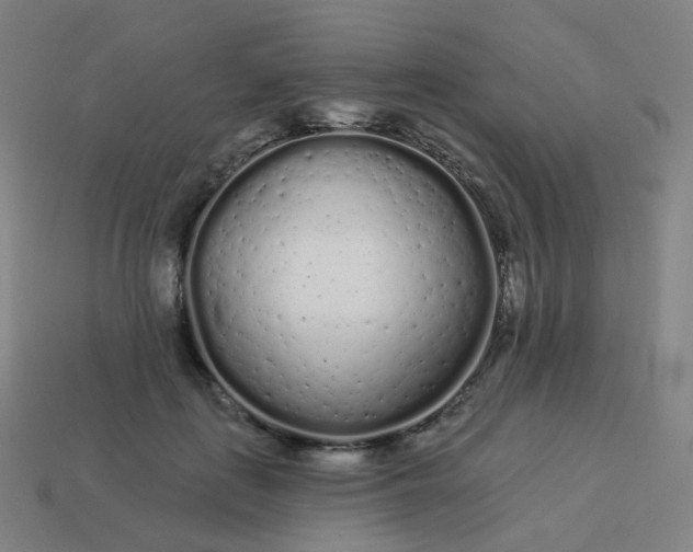 X0000114070651200910191523