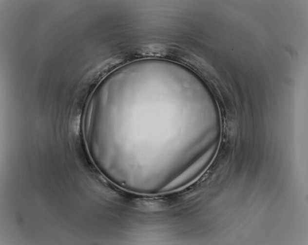 X0000114070652200910191523