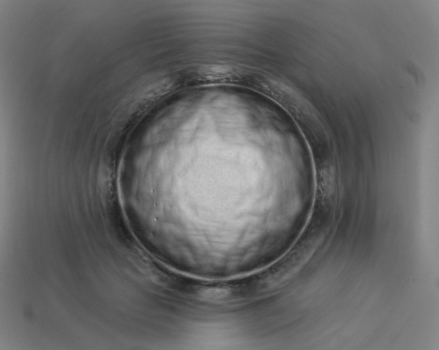 X0000114070653200910191523