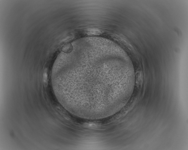 X0000114070655200910191523