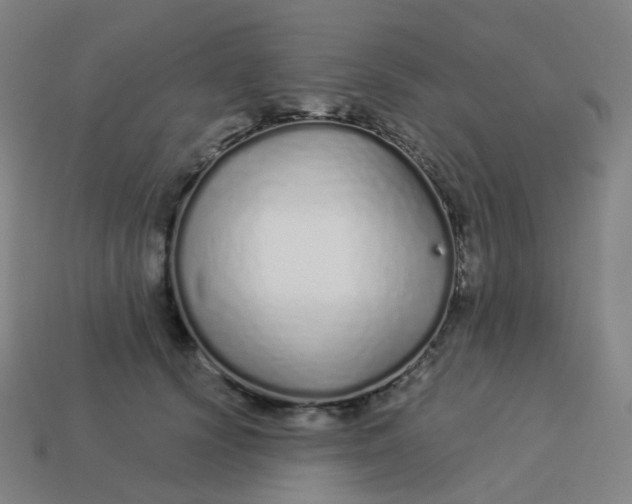 X0000114070656200910191523