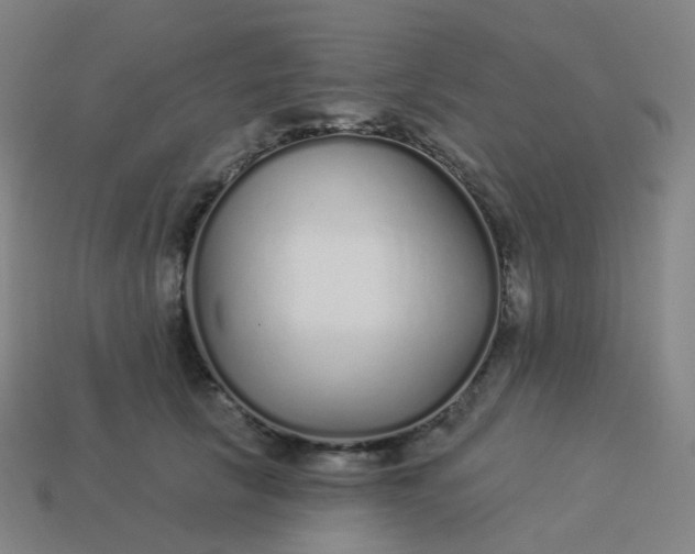 X0000114070657200910191523