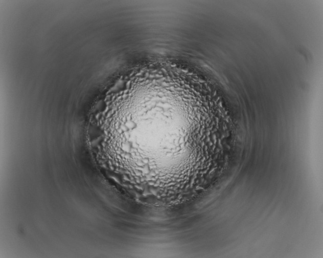 X0000114070659200910191523