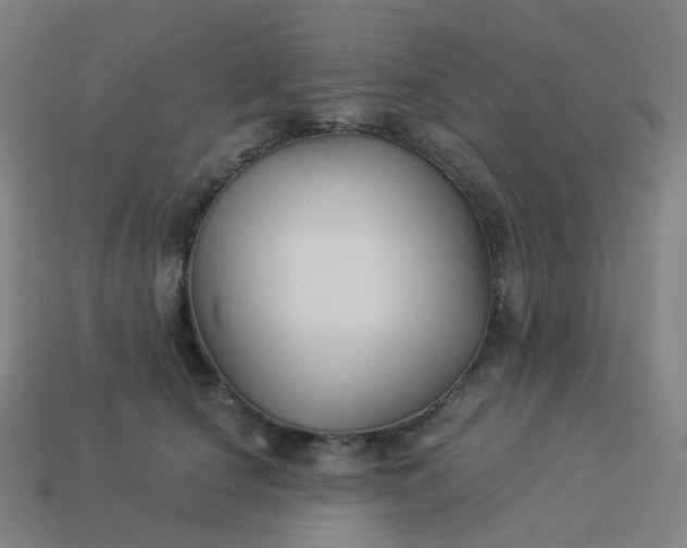 X0000114070660200910191523