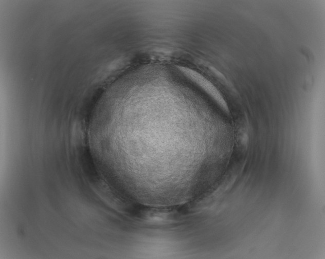 X0000114070661200910191523