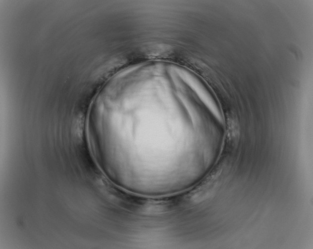 X0000114070664200910191523