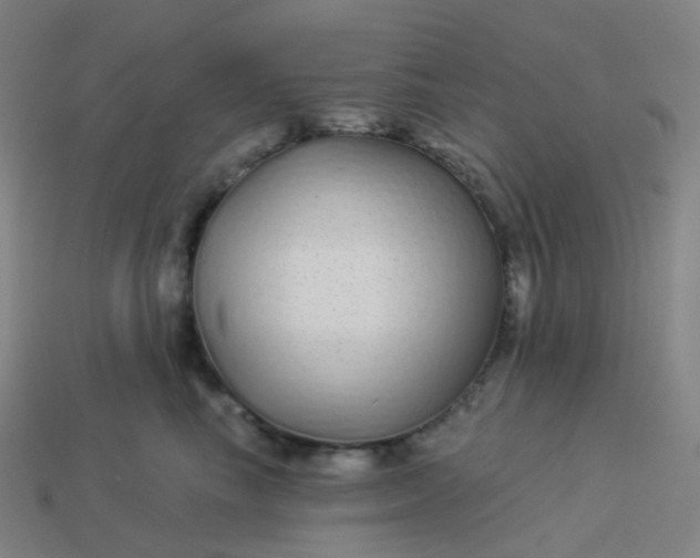 X0000114070665200910191523