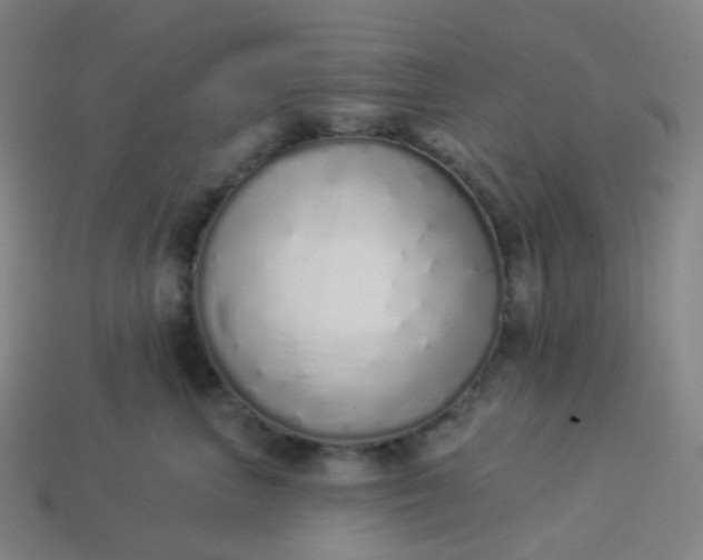 X0000114070667200910191523