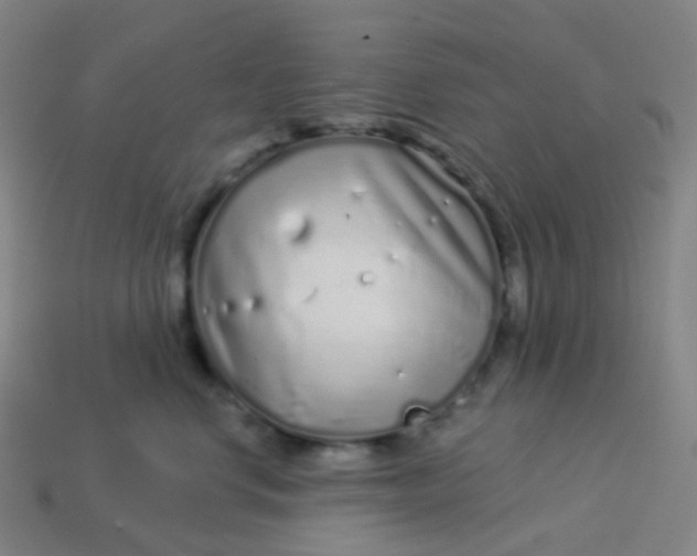 X0000114070668200910191523