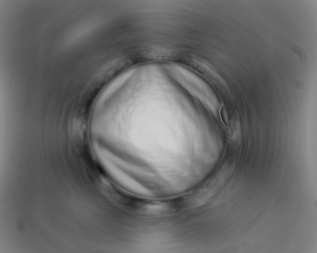 X0000114070669200910191523