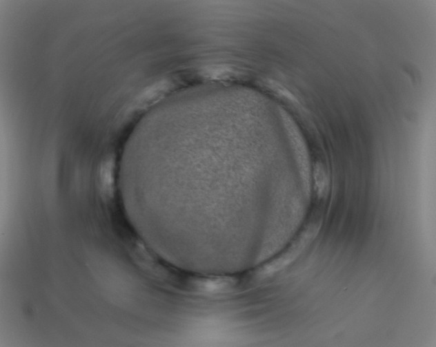 X0000114070670200910191523