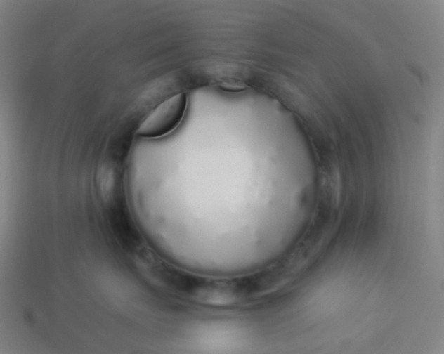 X0000114070671200910191523