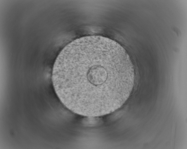 X0000114070672200910191523