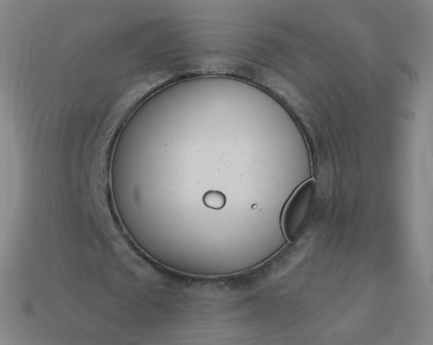 X0000114070673200910191522