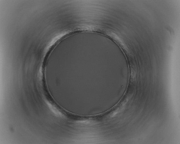 X0000114070674200910191522