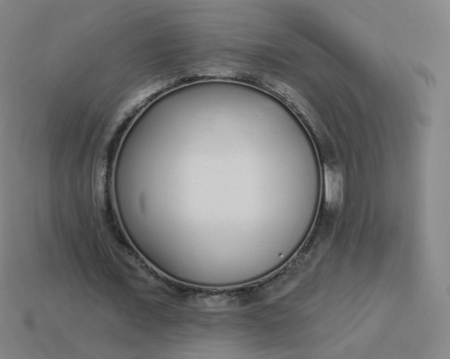 X0000114070675200910191522