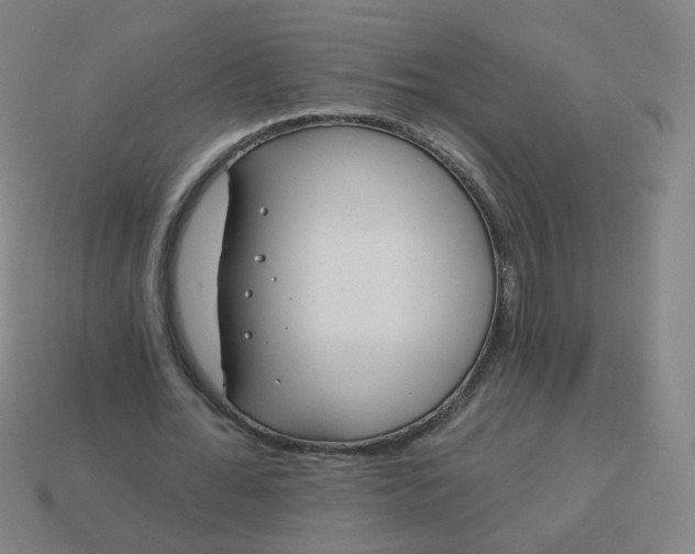 X0000114070676200910191522