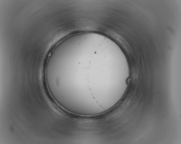 X0000114070677200910191522