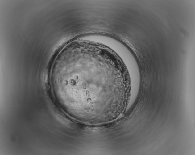 X0000114070679200910191522