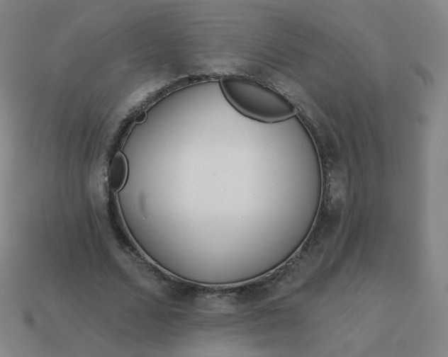 X0000114070680200910191522