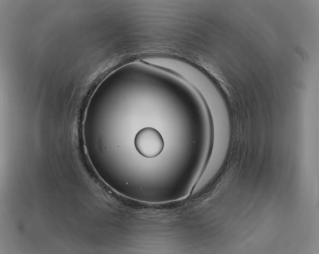 X0000114070681200910191522