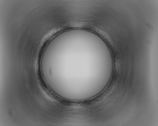 X0000114070682200910191522