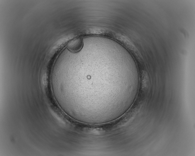 X0000114070683200910191522