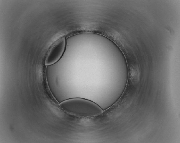 X0000114070684200910191522