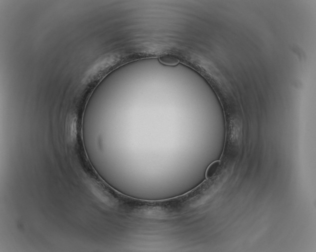 X0000114070685200910191522