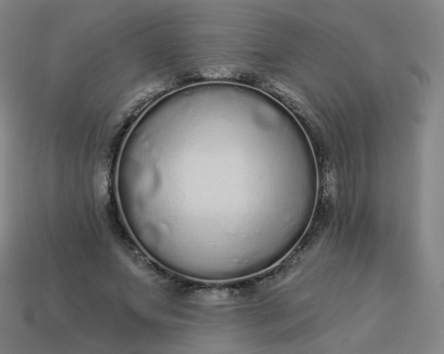 X0000114070687200910191522