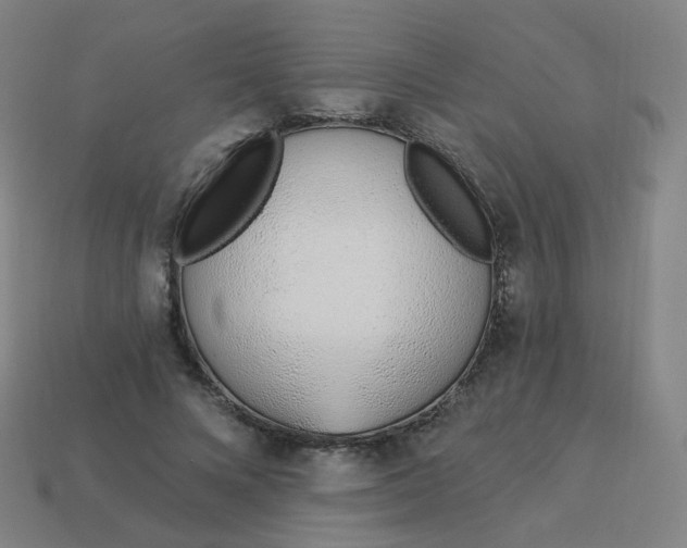 X0000114070688200910191522