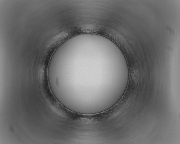 X0000114070690200910191522