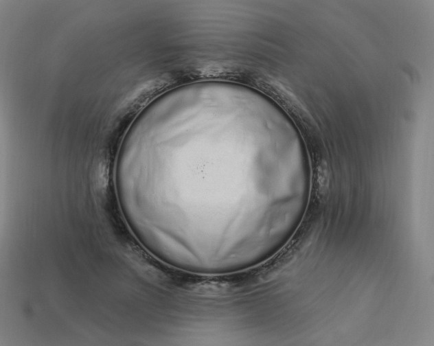 X0000114070691200910191522