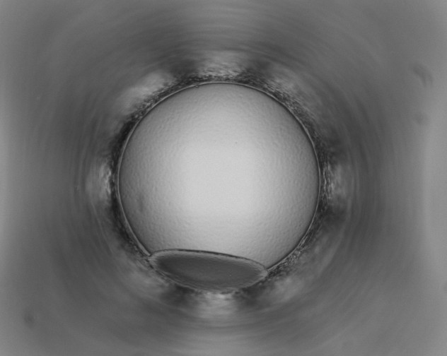 X0000114070692200910191522