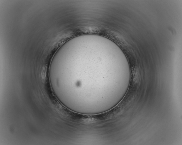 X0000114070695200910191522