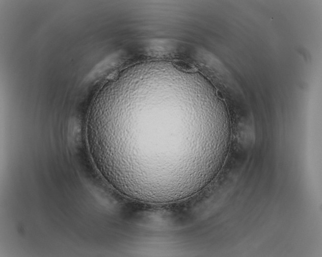 X0000114070696200910191522