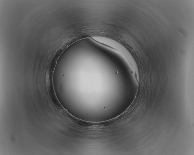 X0000114070700200910191522