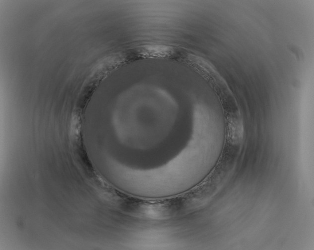 X0000114070701200910191522