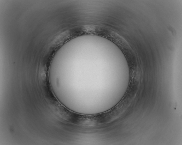 X0000114070702200910191522