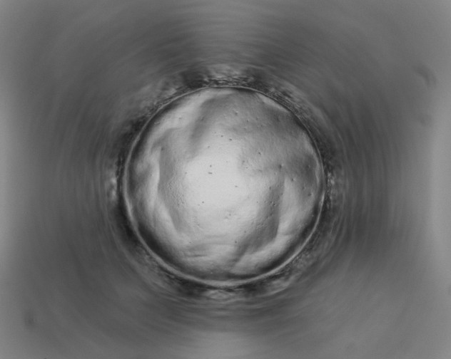 X0000114070703200910191522