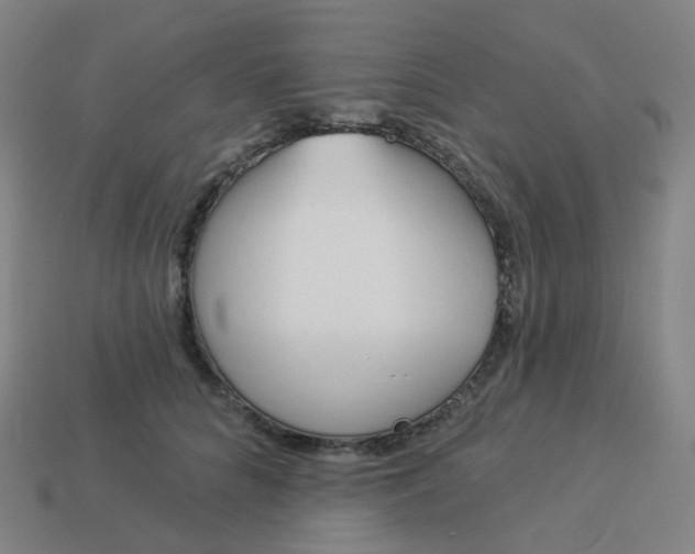 X0000114070704200910191522