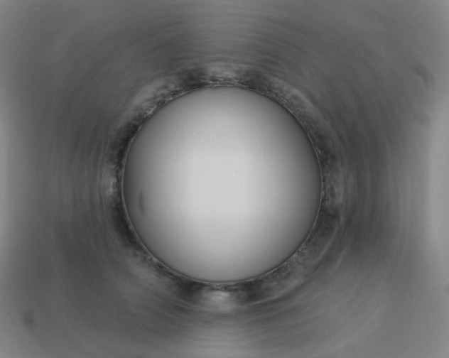 X0000114070706200910191522